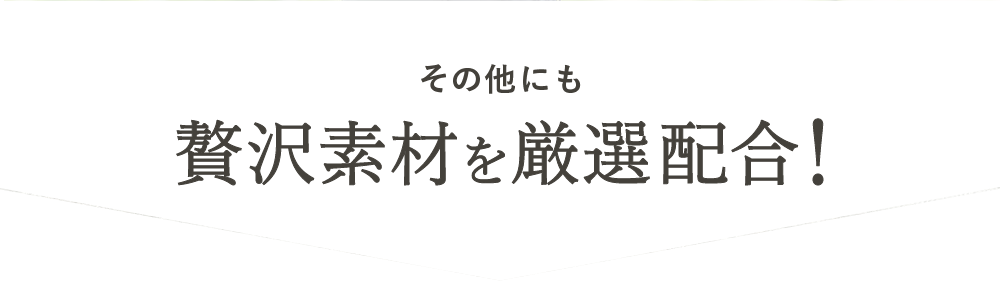 そのほかにも