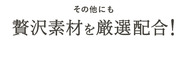 そのほかにも