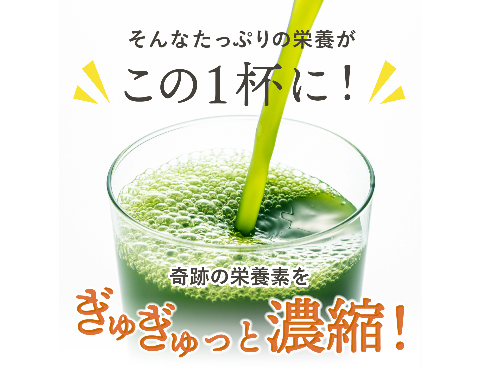 これらをギュギュッと濃縮