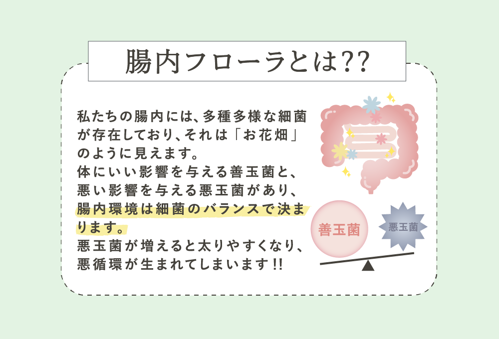 腸内フローラとは