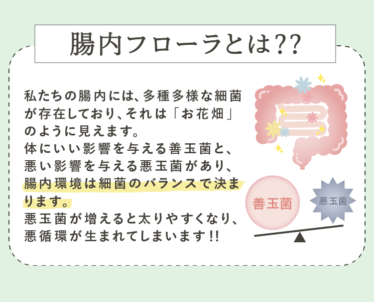 腸内フローラとは