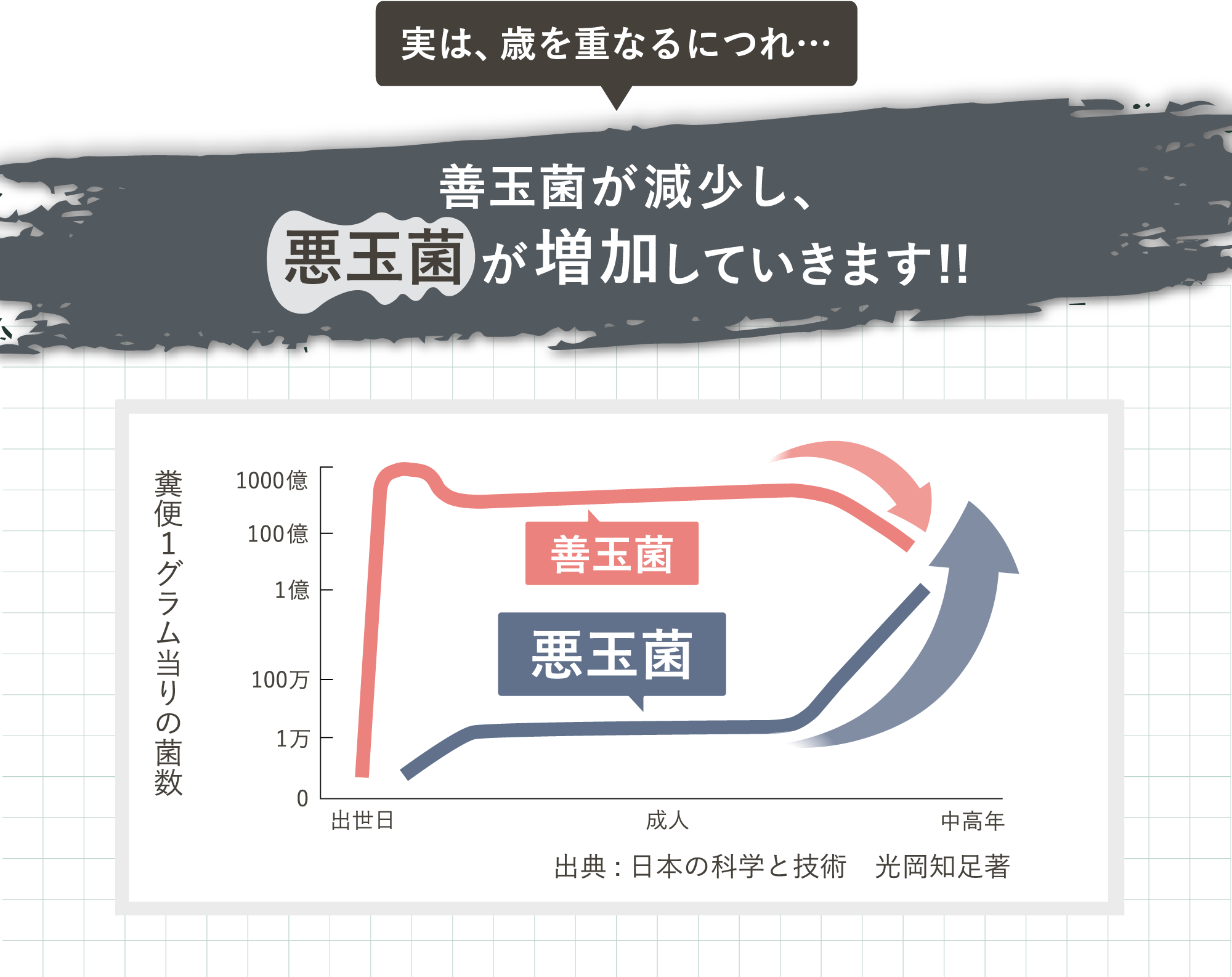 善玉菌と悪玉菌のグラフ