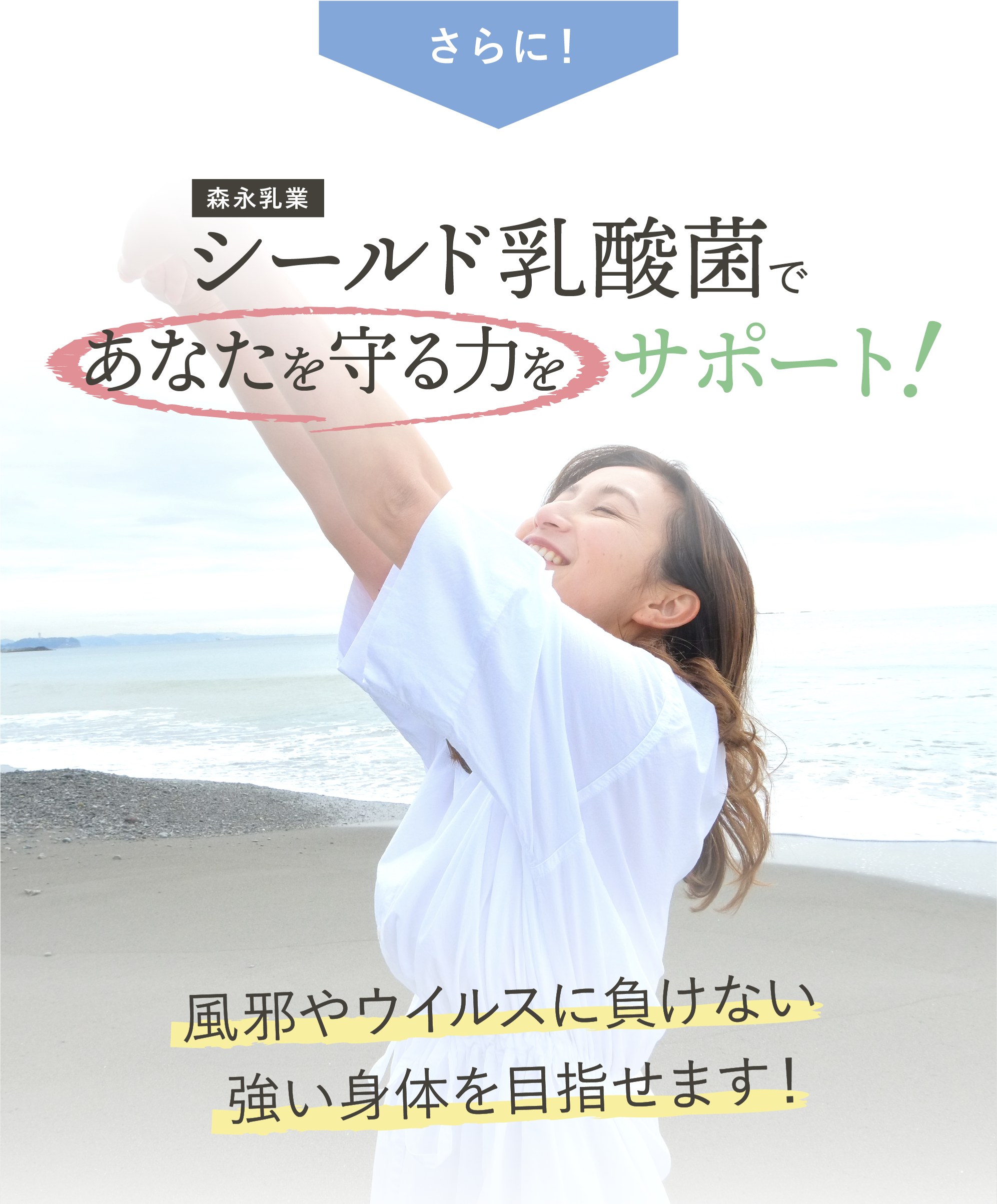 シールド乳酸菌