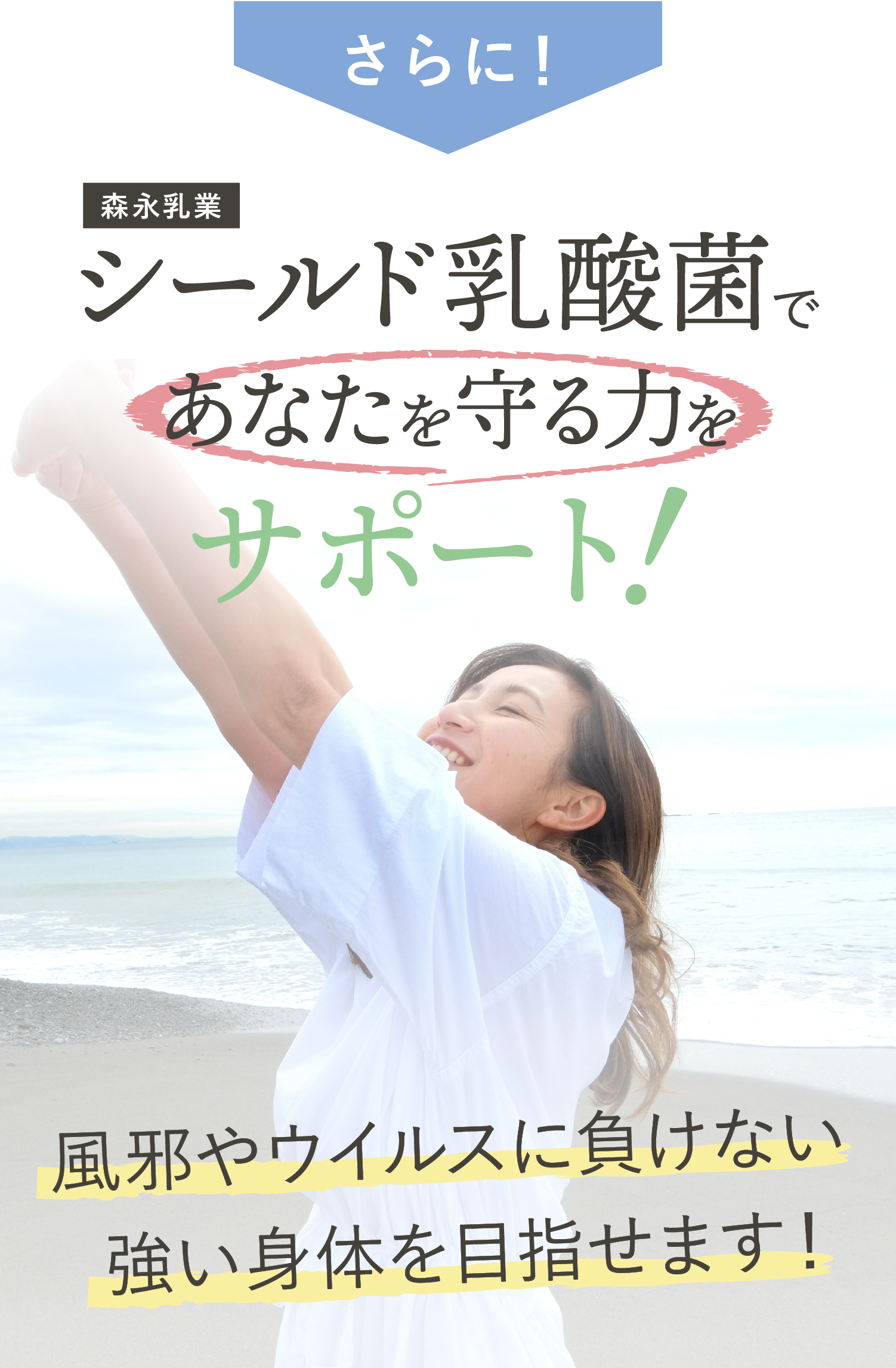 シールド乳酸菌