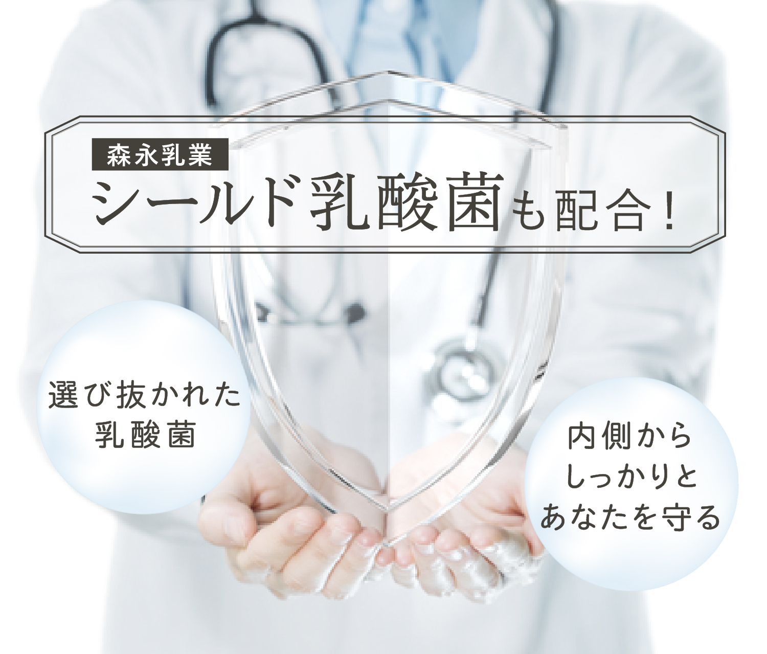 シールド乳酸菌