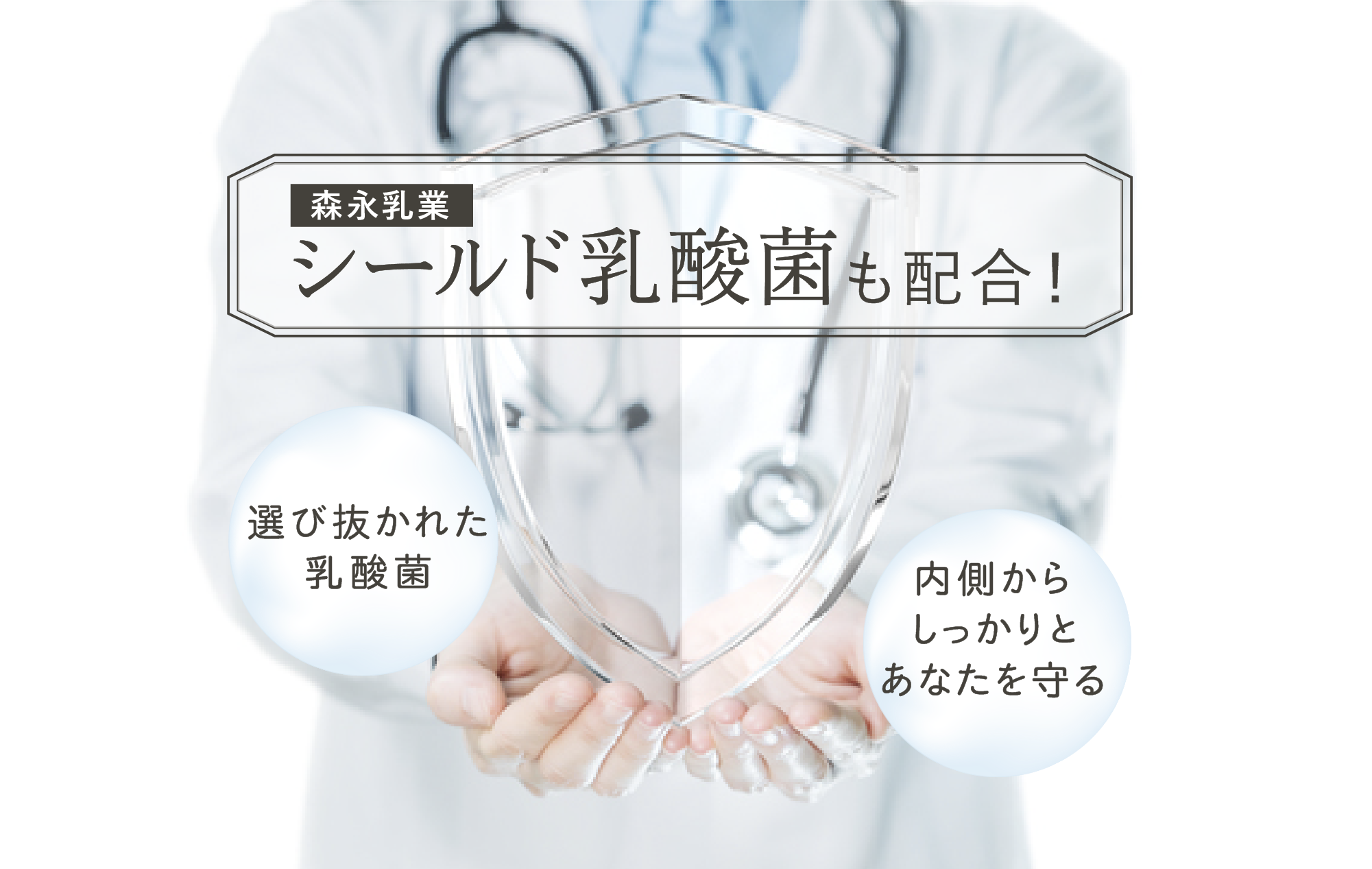シールド乳酸菌