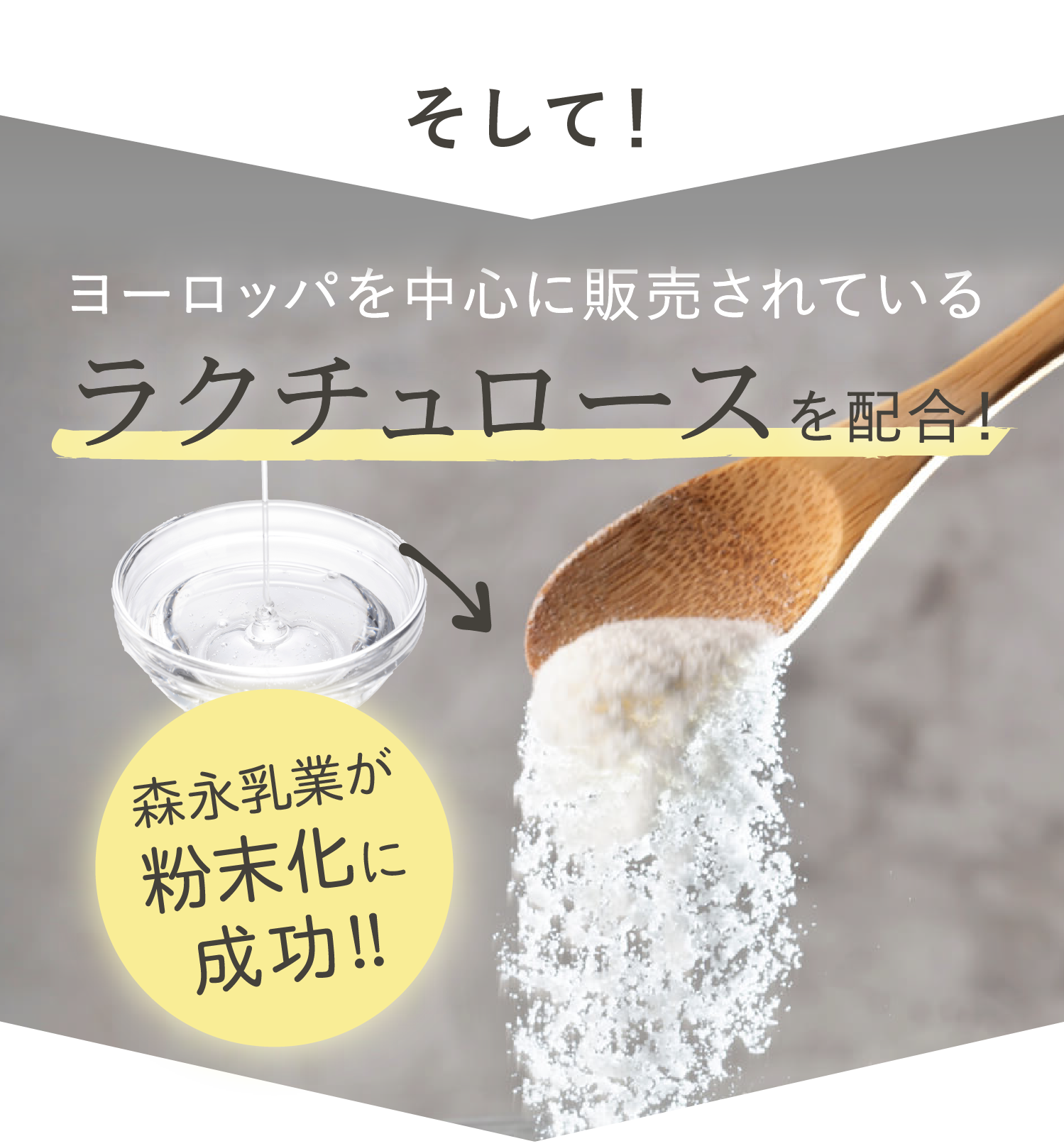 粉末化されたラクチュロース