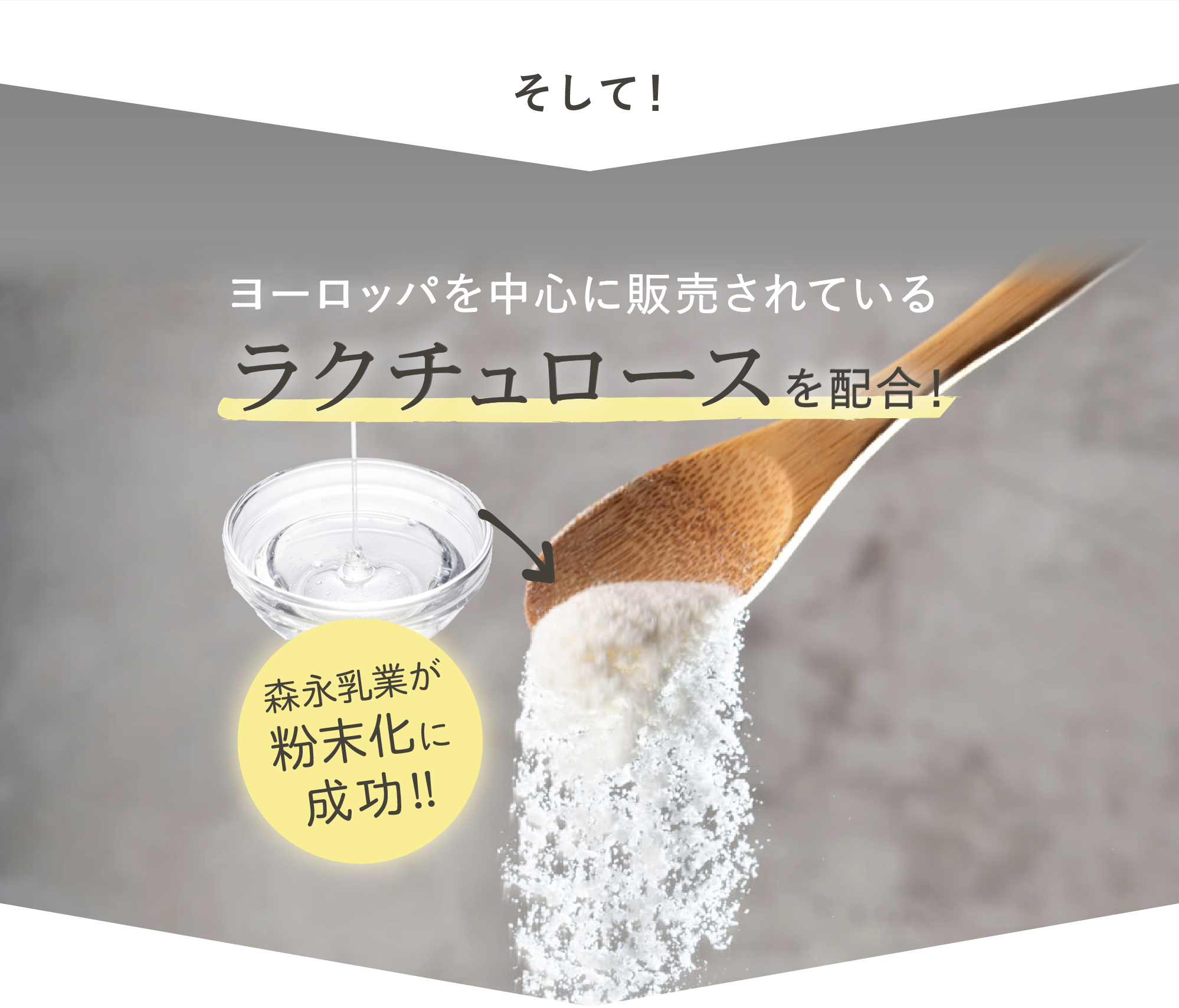 粉末化されたラクチュロース