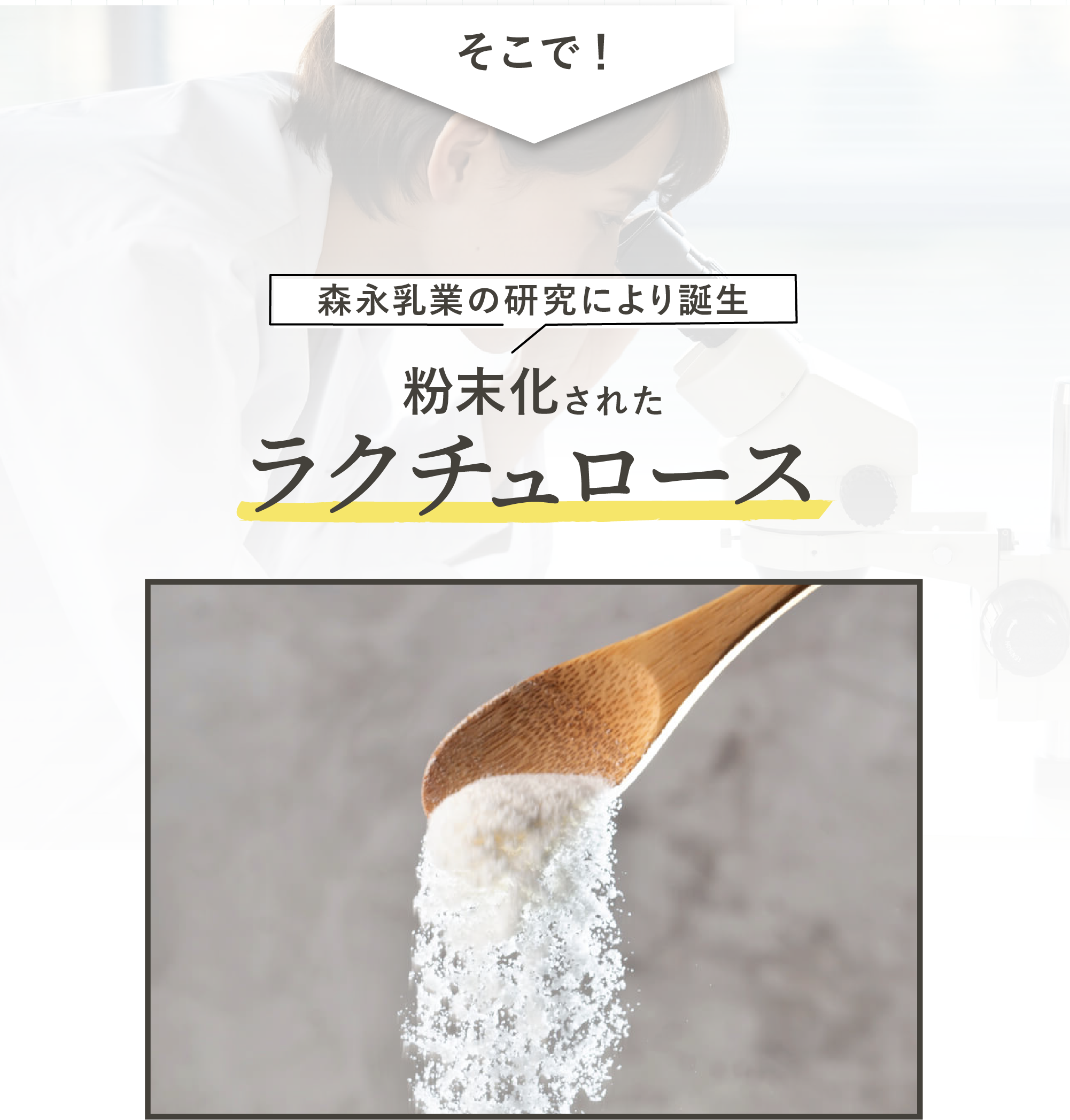 粉末化されたラクチュロース