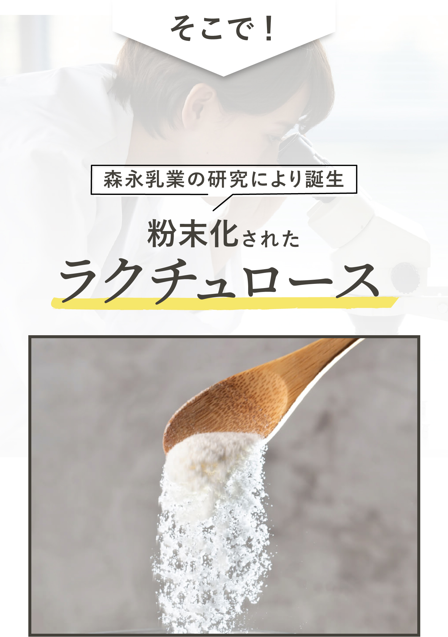 粉末化されたラクチュロース
