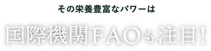 その栄養豊富なパワーは 国際機関FAOも注目!