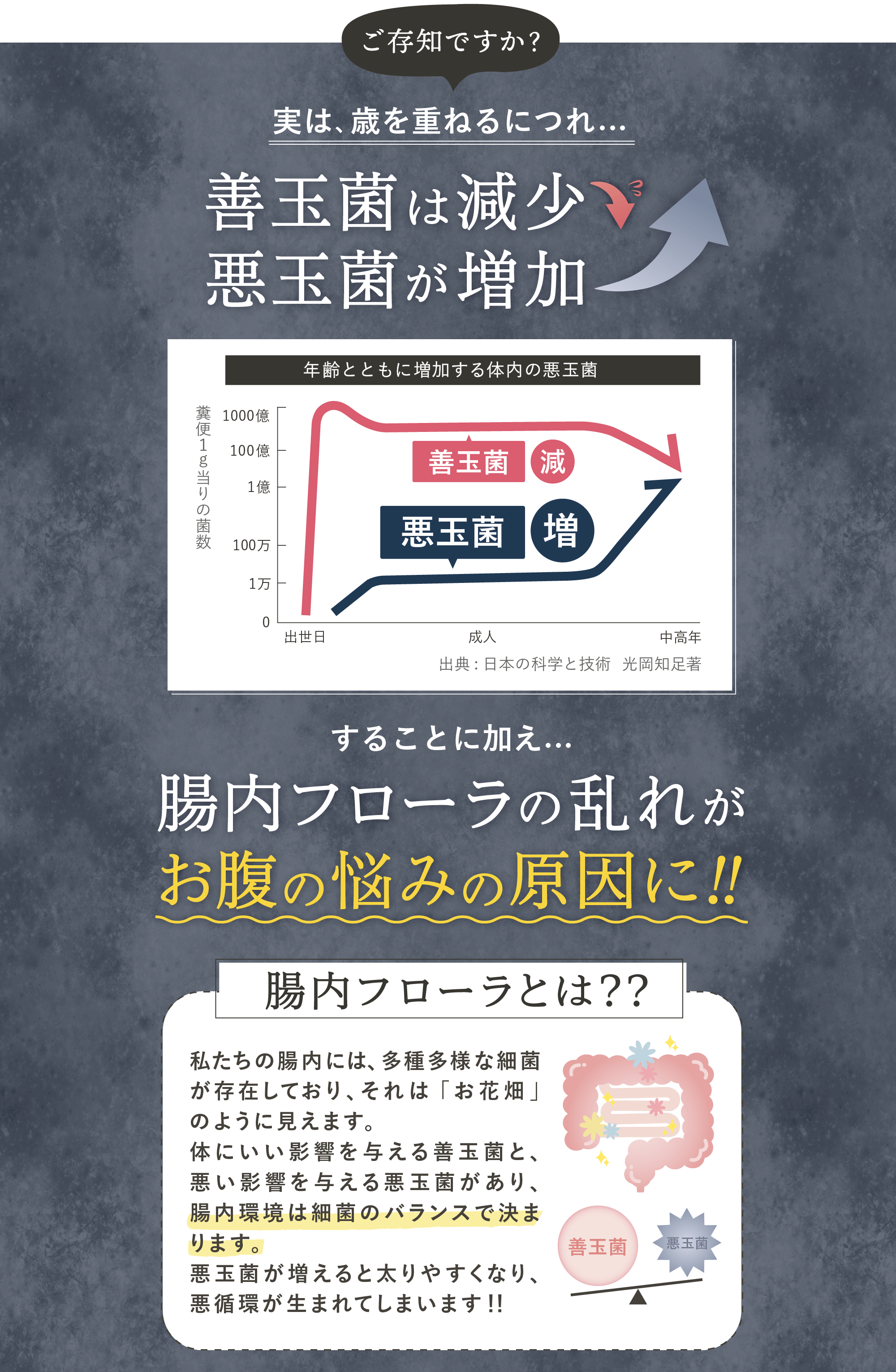 腸内フローラとは