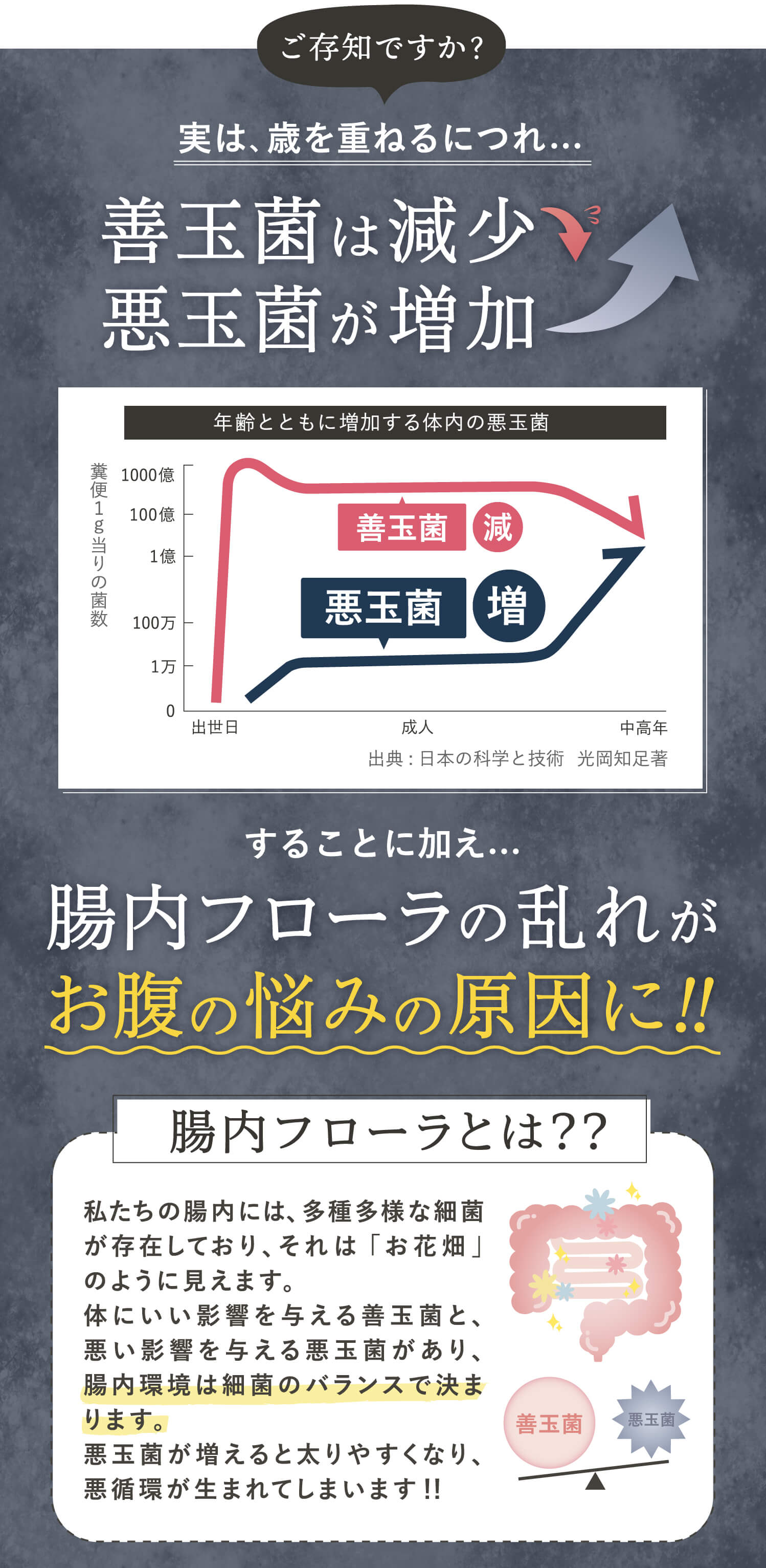 腸内フローラとは