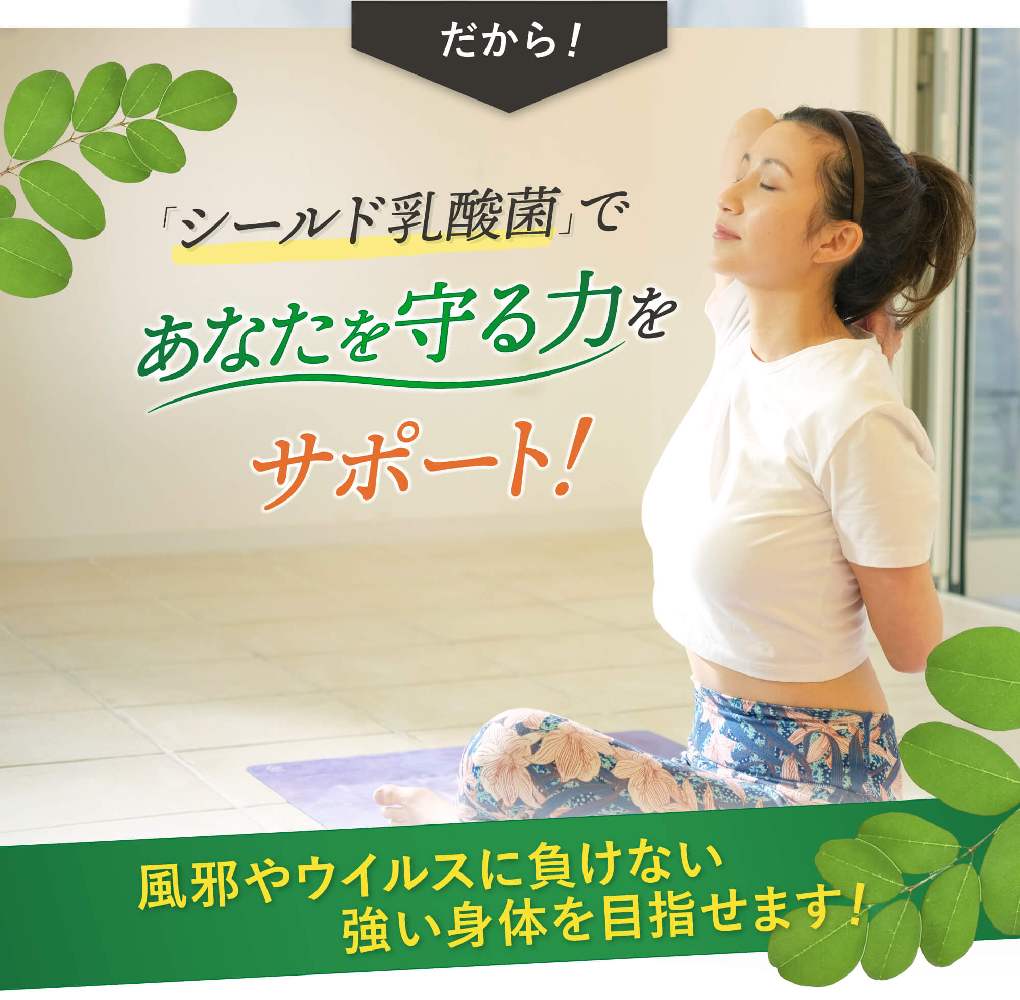 シールド乳酸菌で免疫力アップ