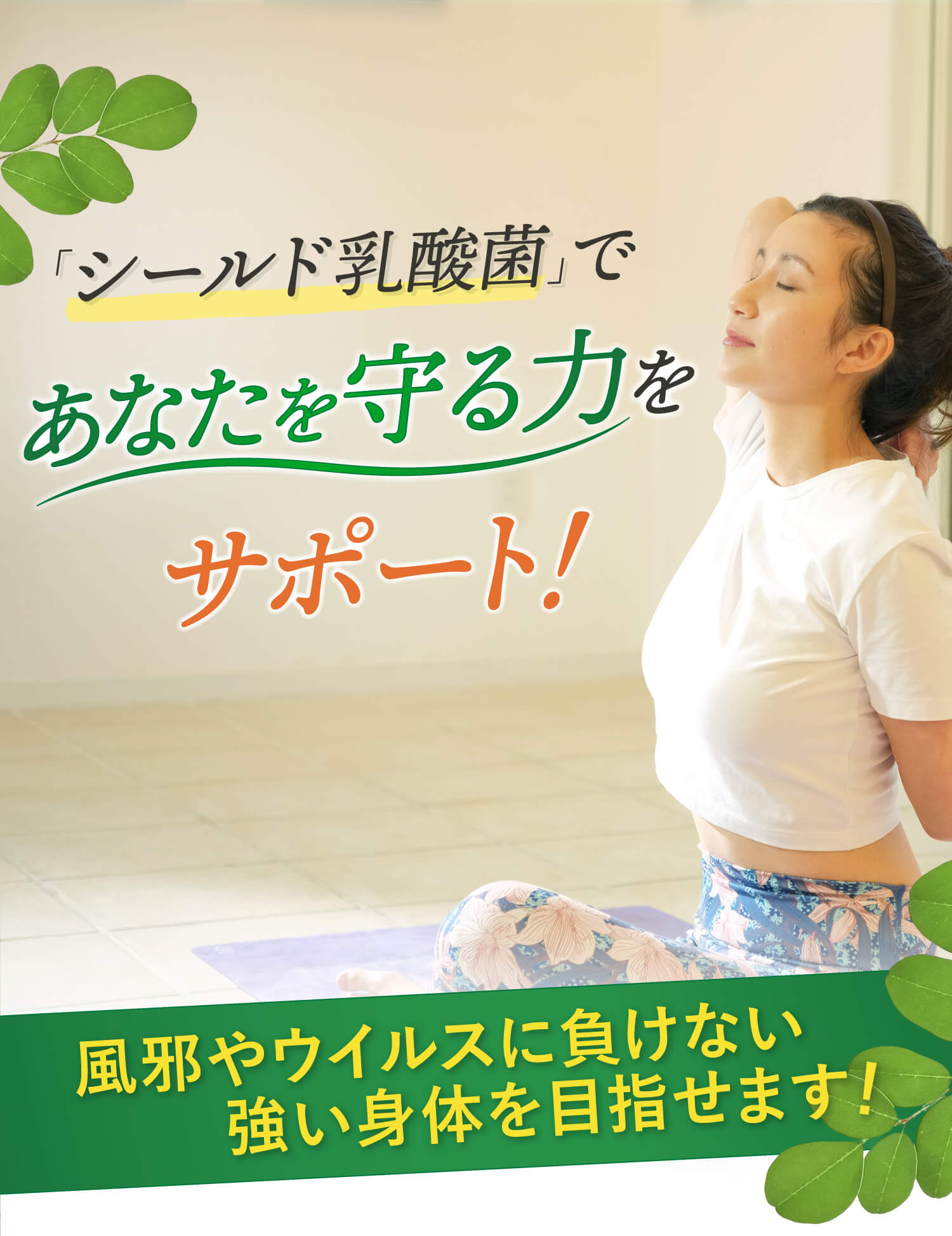 シールド乳酸菌で免疫力アップ