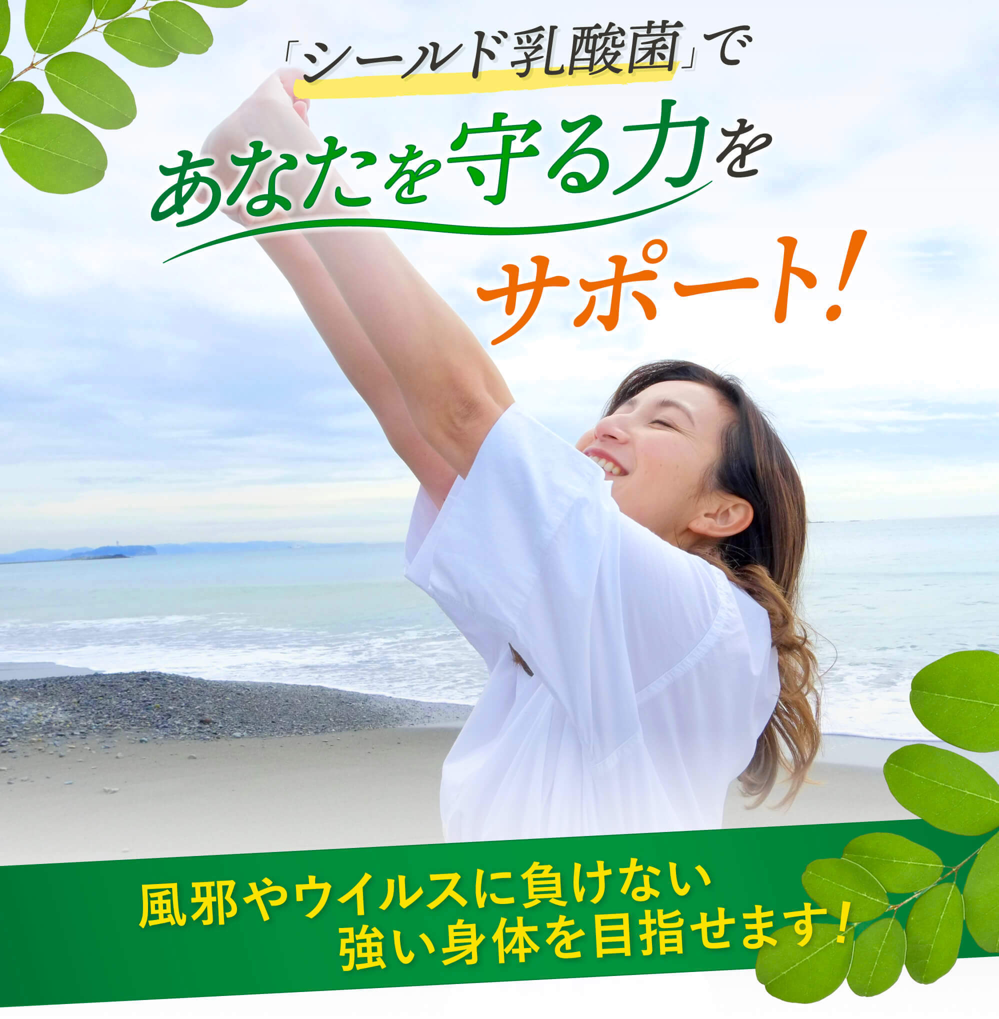 ラクチュロースが餌になる