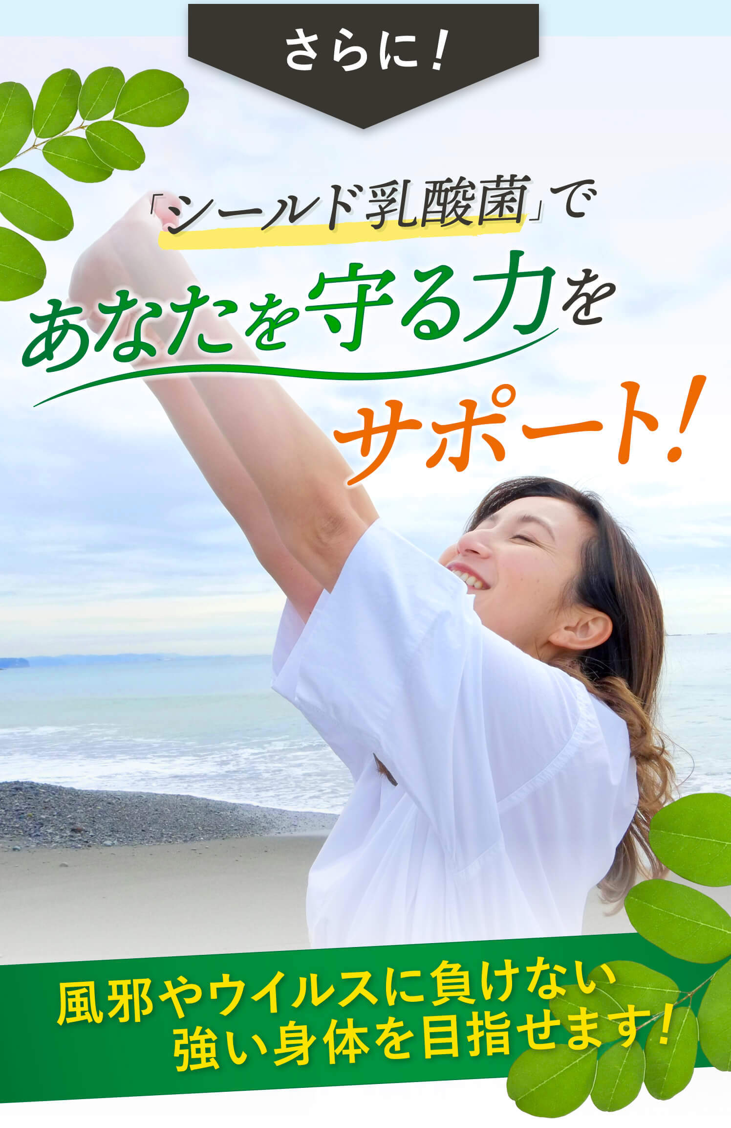 ラクチュロースが餌になる
