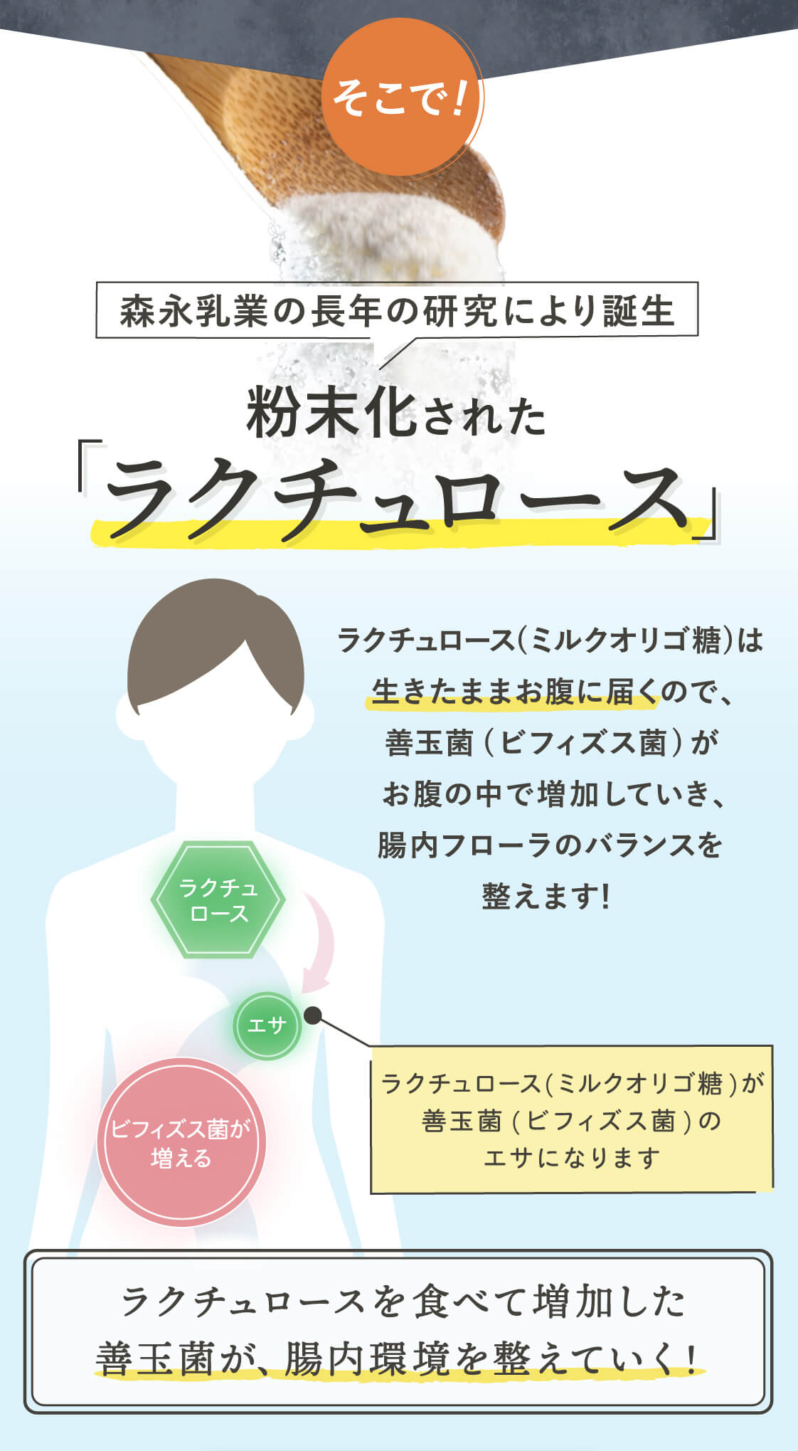 粉末化されたラクチュロース