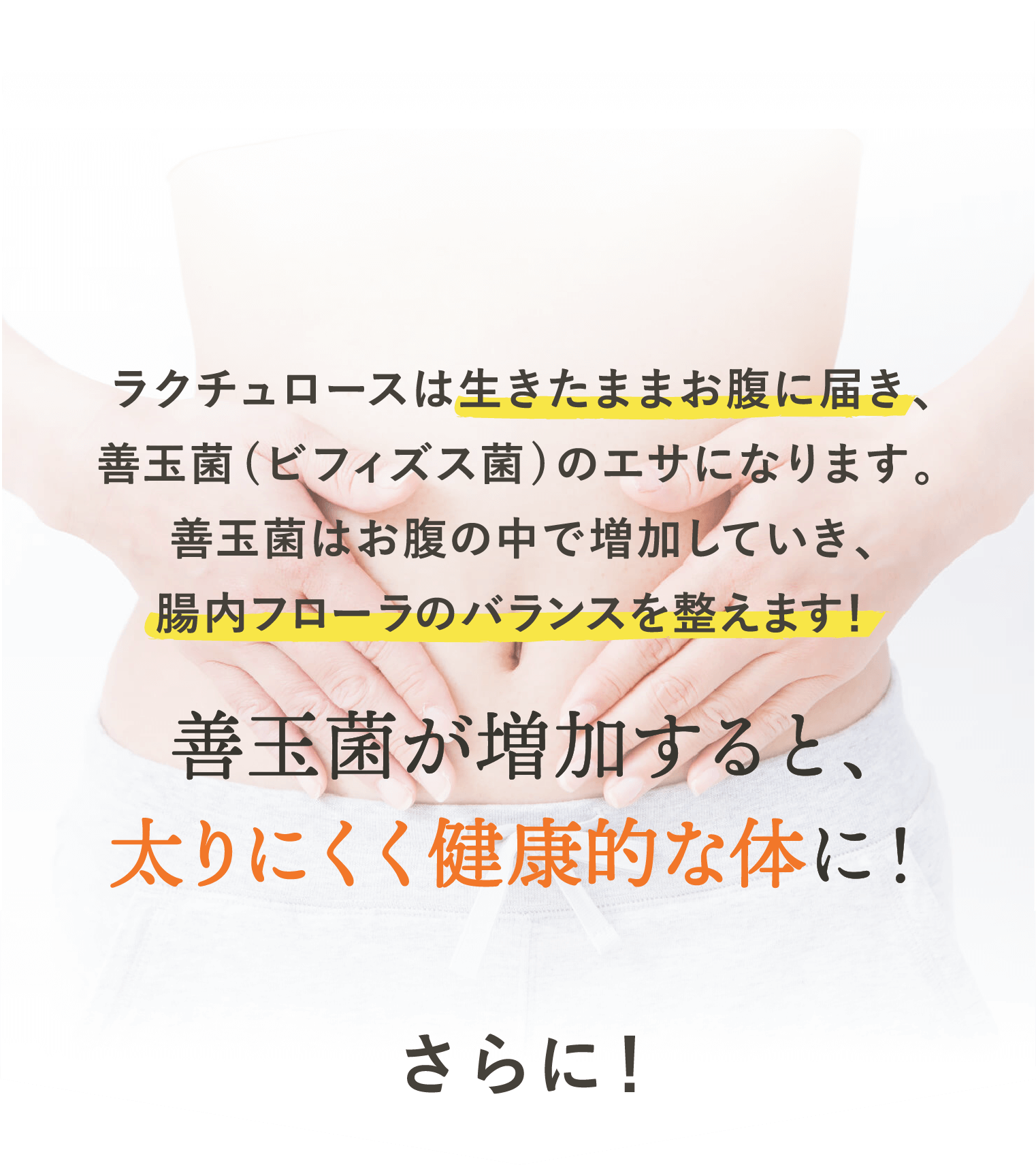 ラクチュロースが餌になる