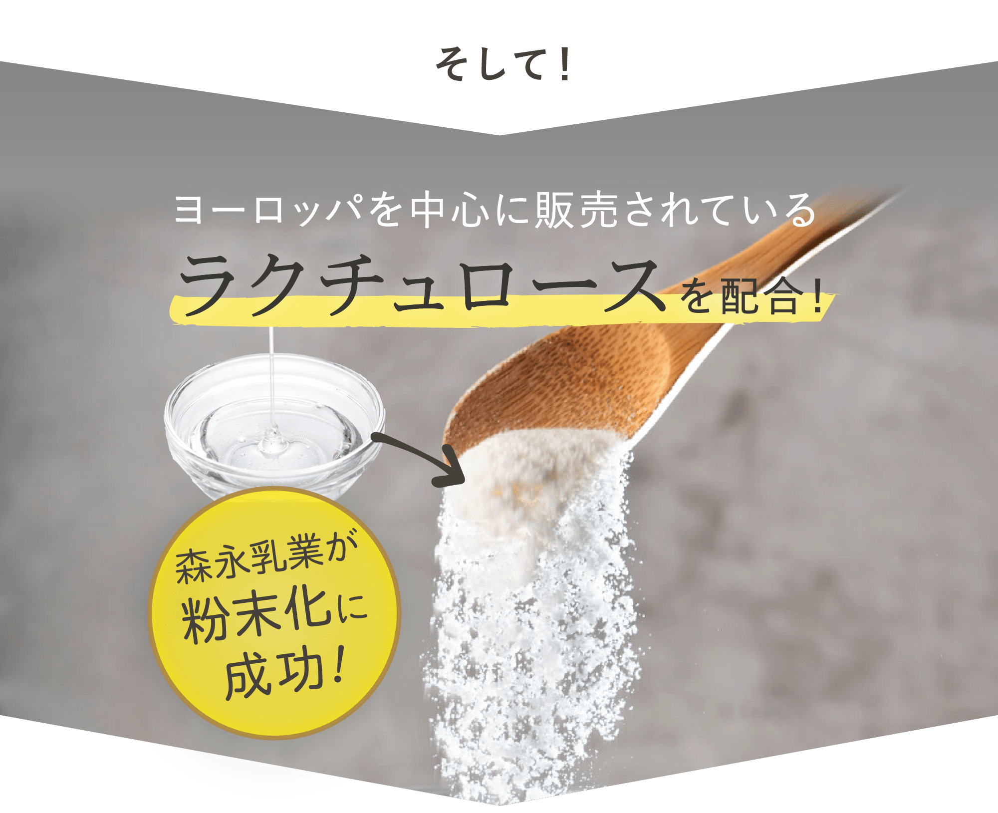 粉末化されたラクチュロース
