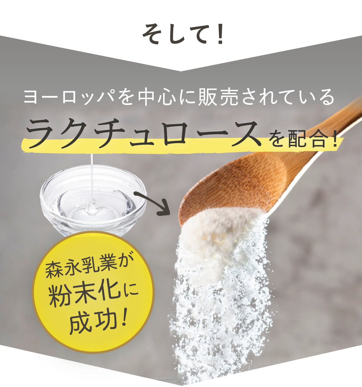 粉末化されたラクチュロース