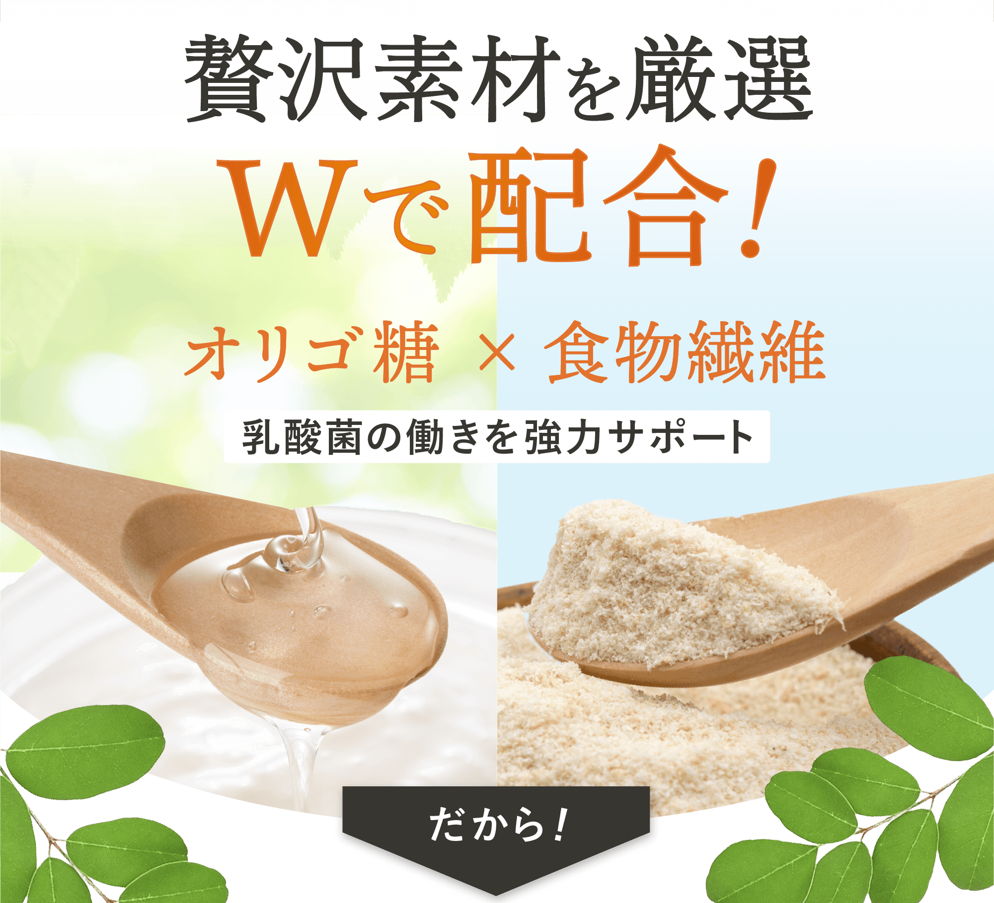そのほかにもオリゴ糖と食物繊維