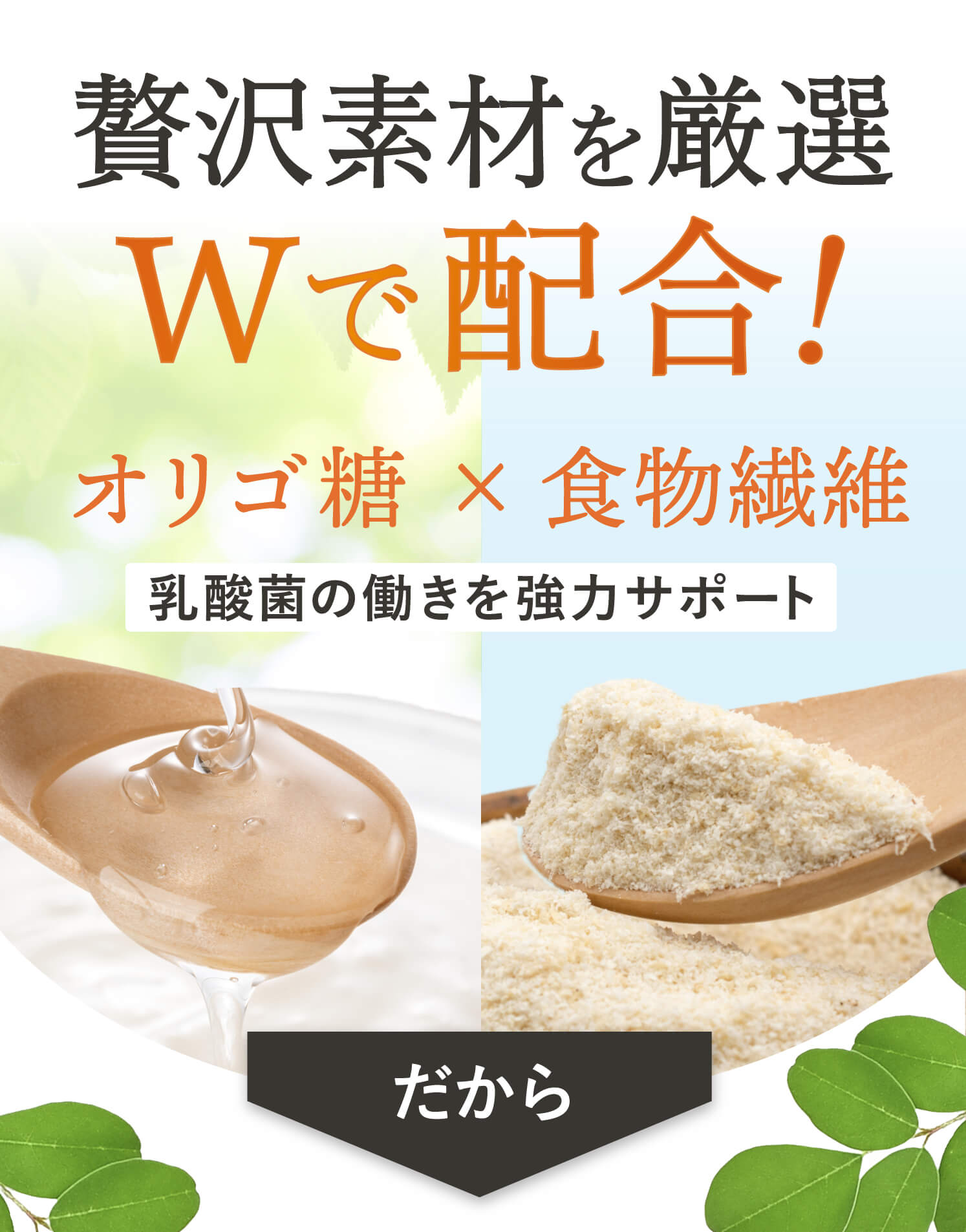 そのほかにもオリゴ糖と食物繊維