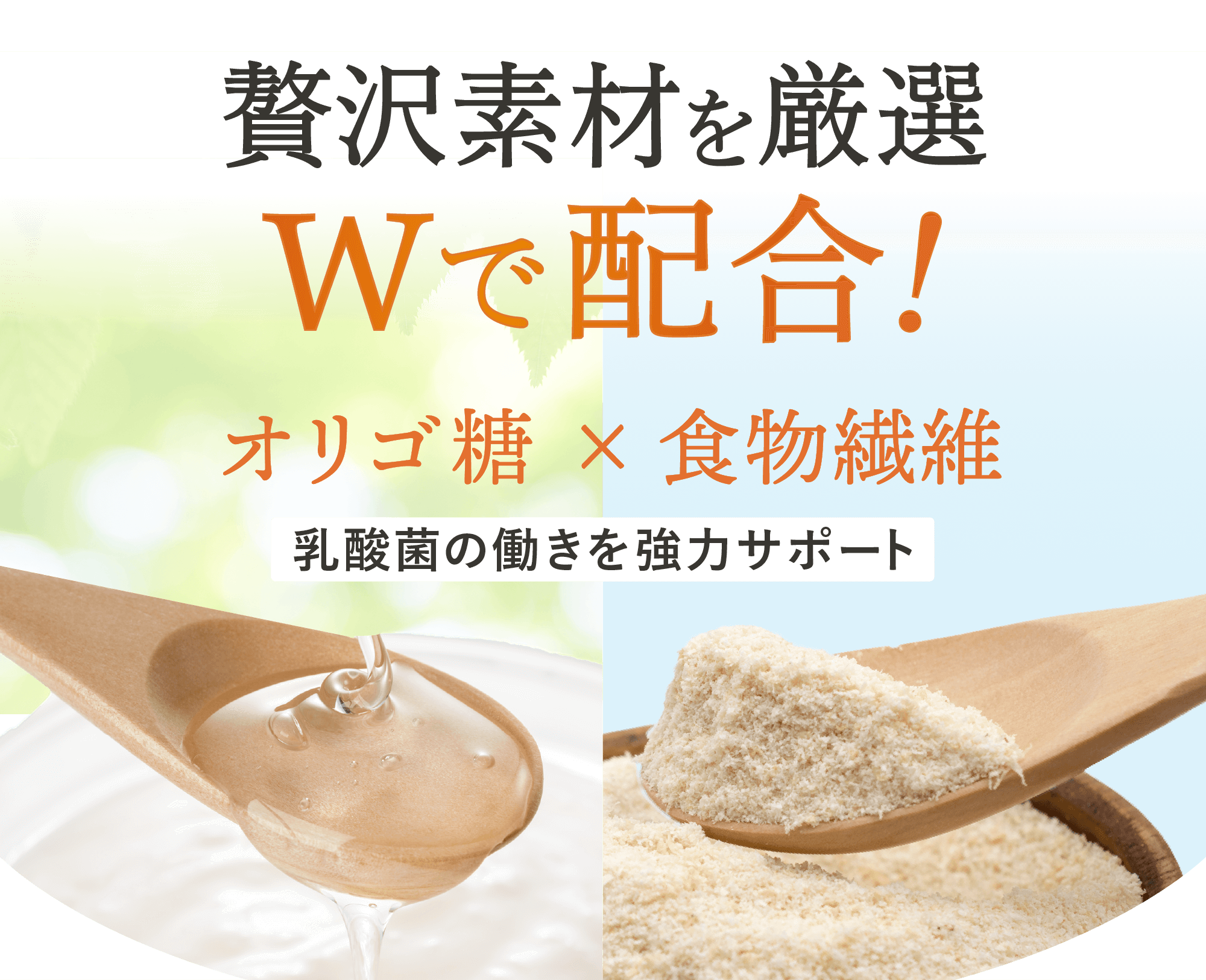 オリゴ糖と食物繊維