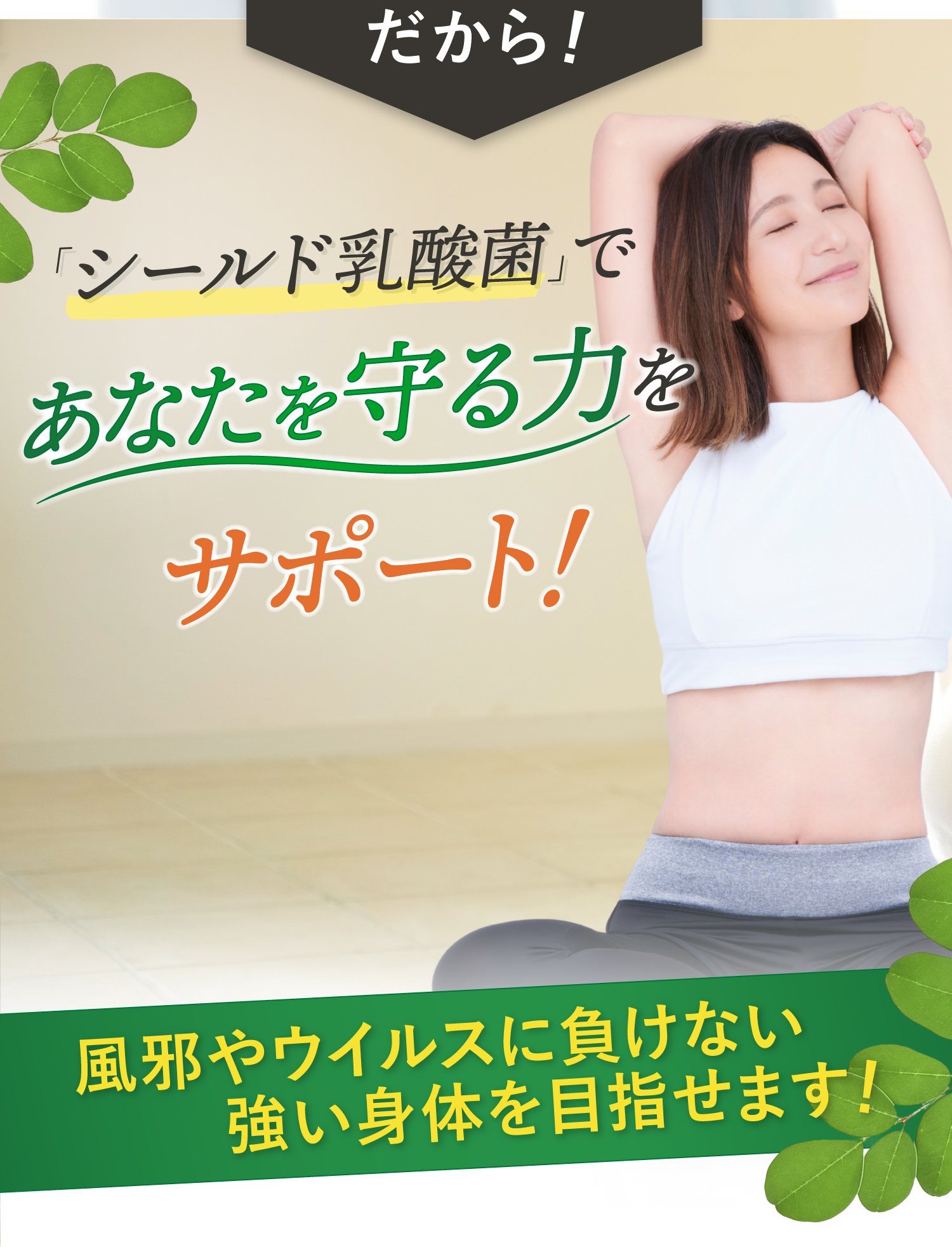 シールド乳酸菌で免疫力アップ