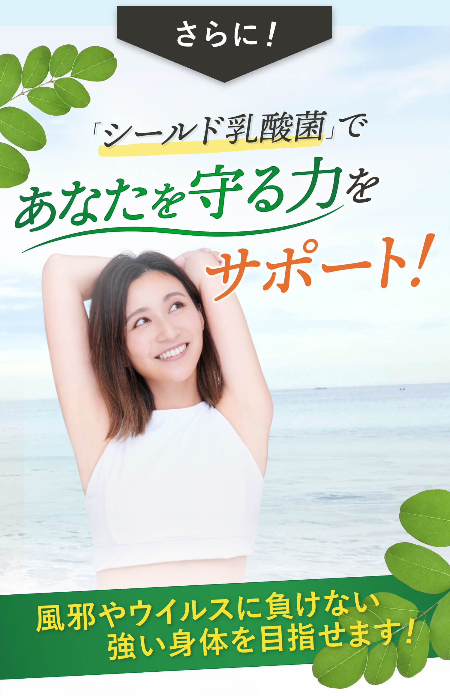 ラクチュロースが餌になる