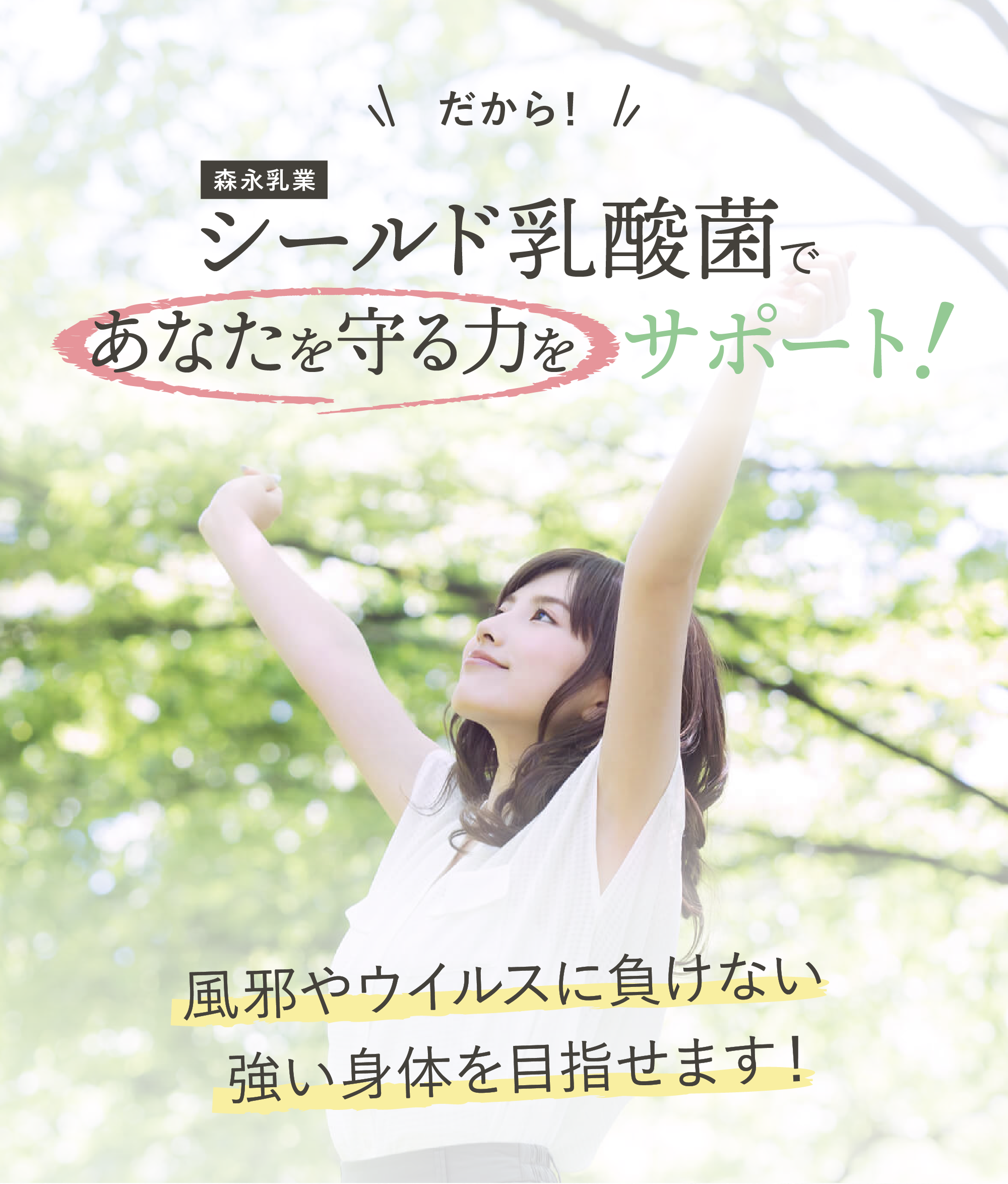 シールド乳酸菌で免疫力アップ