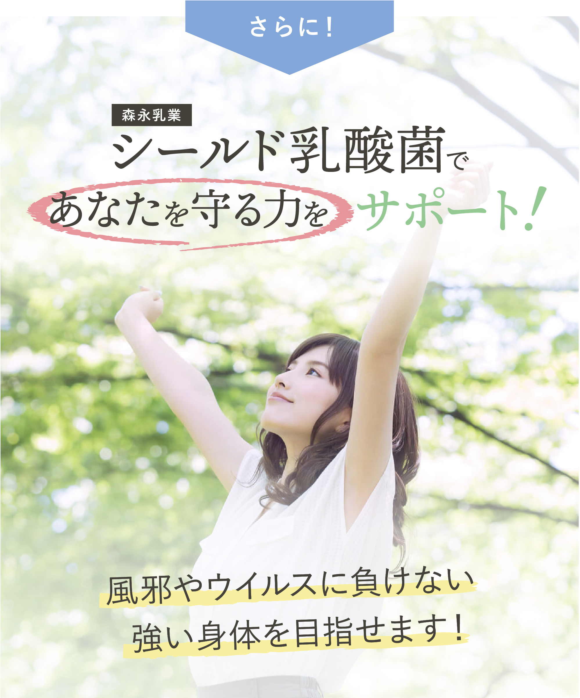 シールド乳酸菌