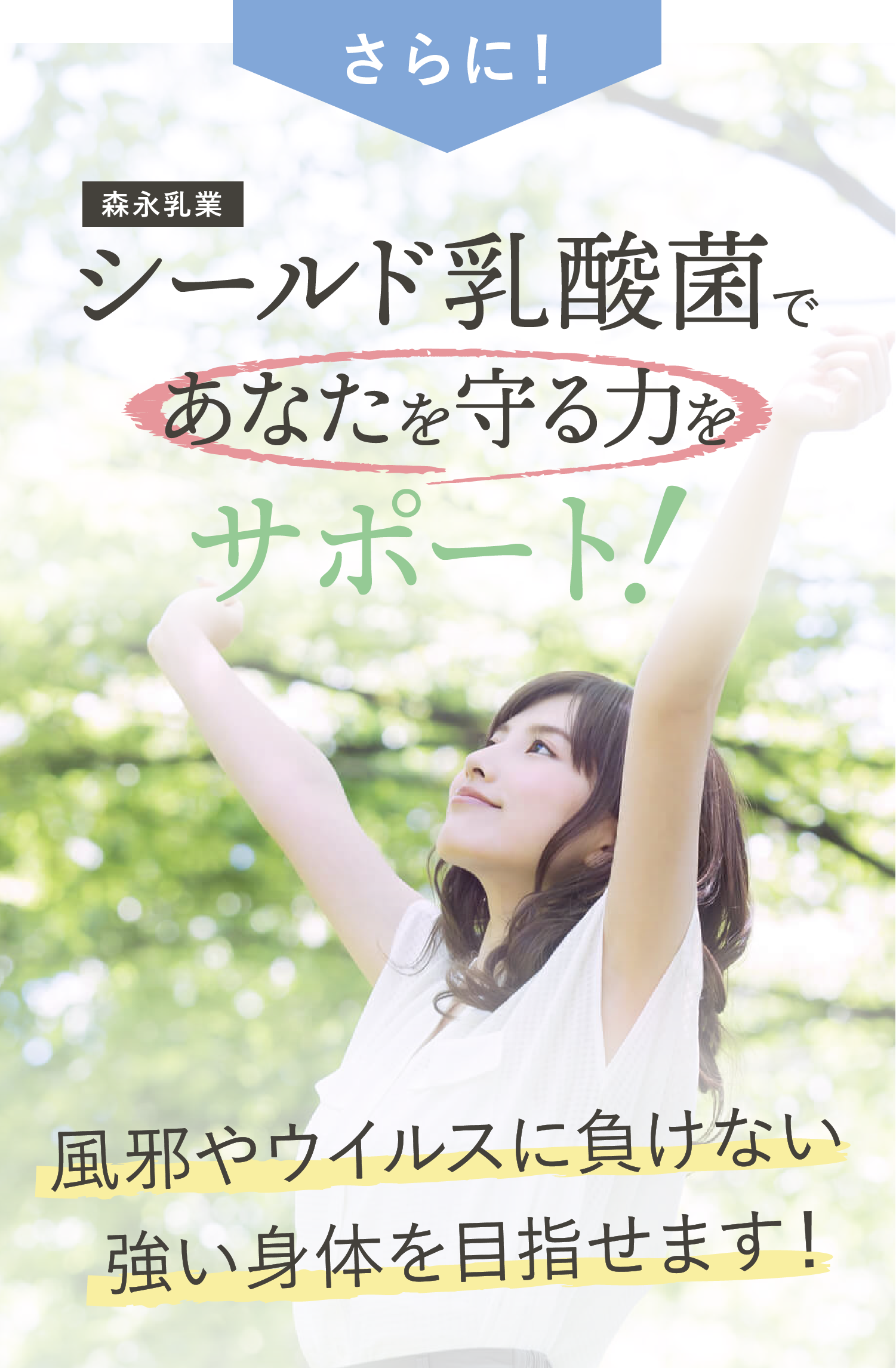 シールド乳酸菌