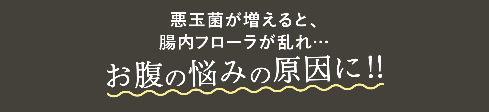 お腹の悩みの原因に!