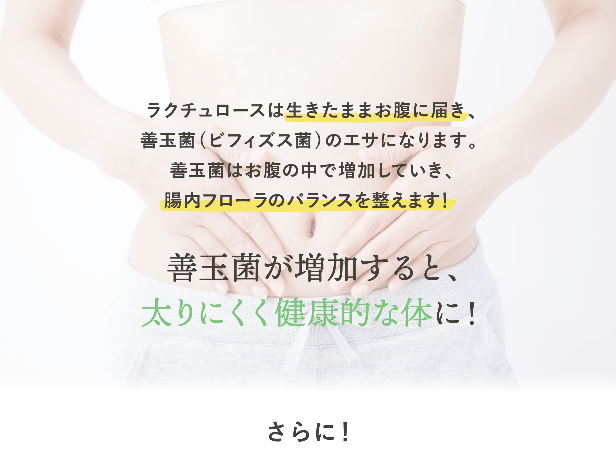 ラクチュロースが餌になる