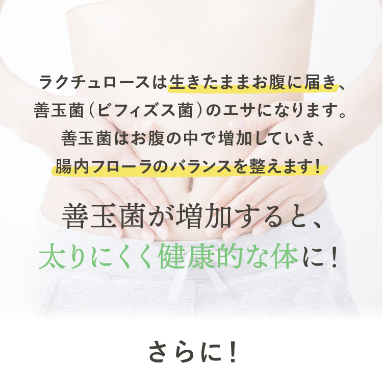 ラクチュロースが餌になる