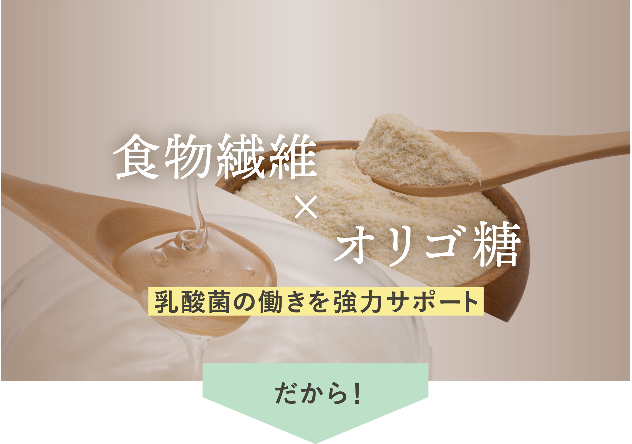 オリゴ糖と食物繊維