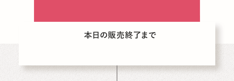 1日100名様限定