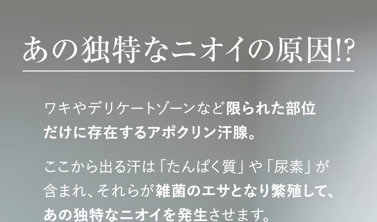 あの独特なニオイの原因!?ワキやデリケートゾーンなど限られた部位だけに存在するアポクリン汗腺。ここから出る汗は「たんぱく質」や「尿素」が含まれ、それらが雑菌のエサとなり繁殖して、あの独特なニオイを発生させます。
