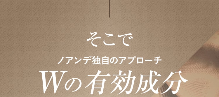 そこでノアンデ独自のアプローチWの有効成分