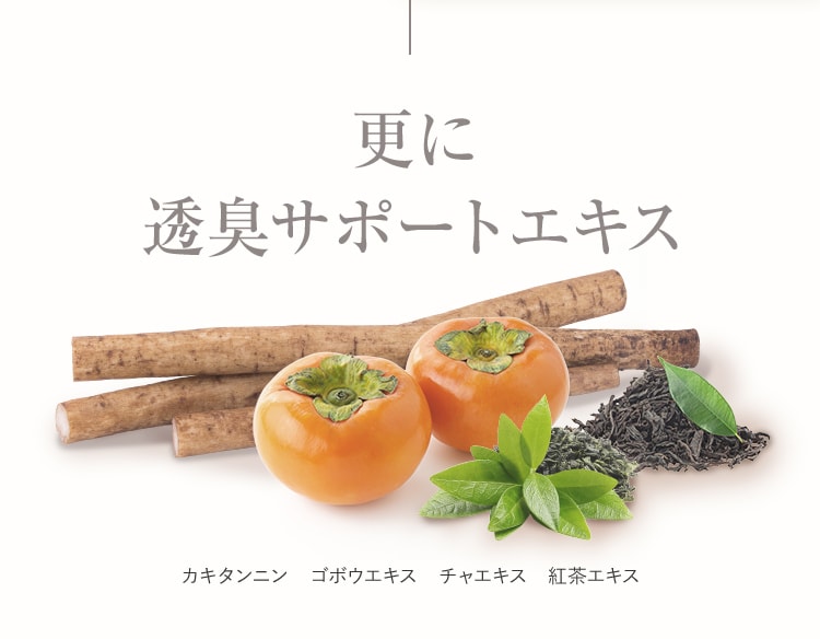 更に 透臭サポートエキス カキタンニン ゴボウエキス チャエキス 紅茶エキス