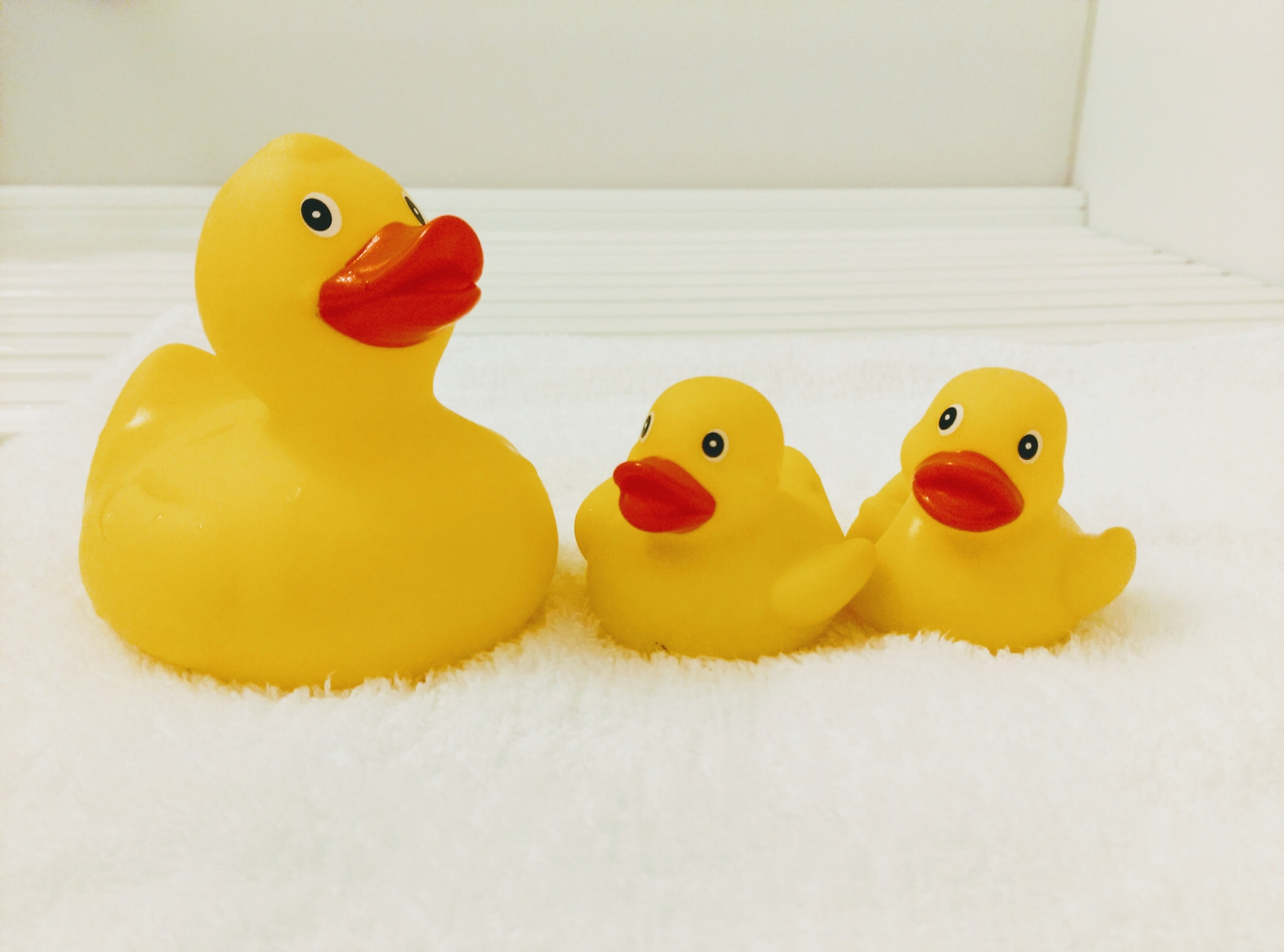 お気に入りのおもちゃ