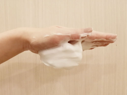 洗顔料をしっかり泡立てる
