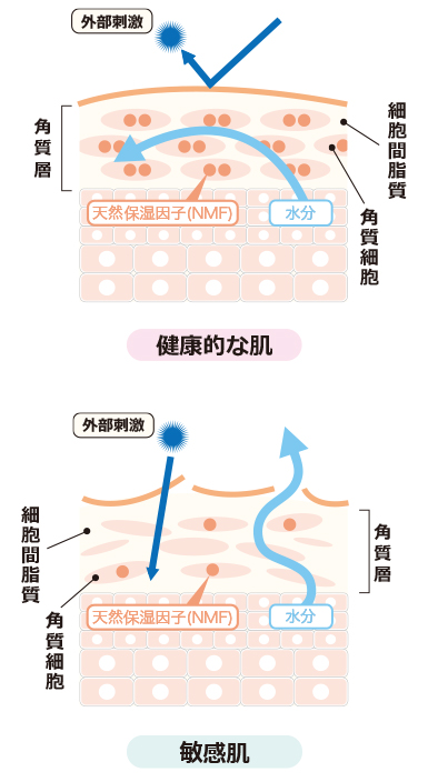 敏感肌のクレンジング選び ケア方法の見直しが美肌への近道に N O Living公式
