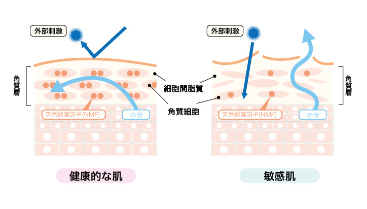 敏感肌の肌状態