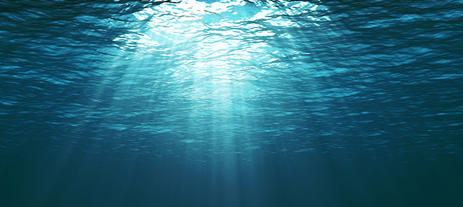 海中