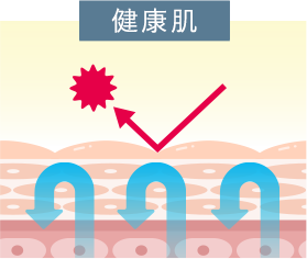 健康肌