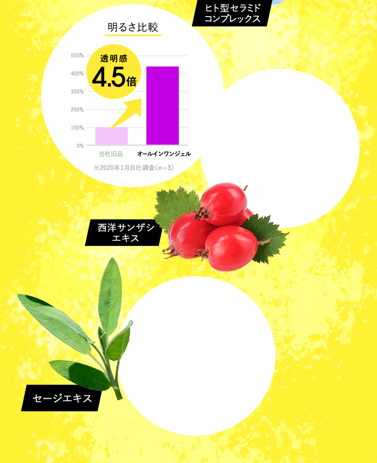 透明感・毛穴・キメ