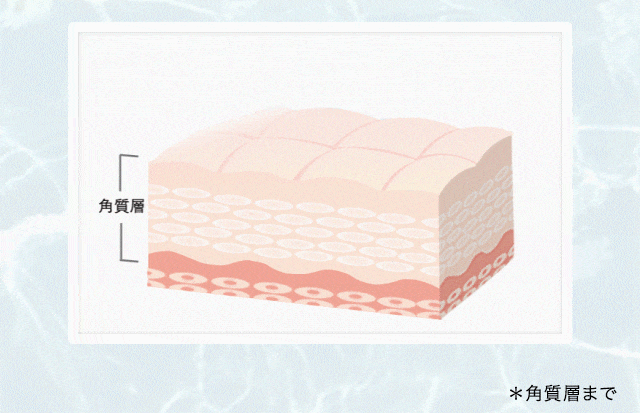 潤いのセカンドスキン!
