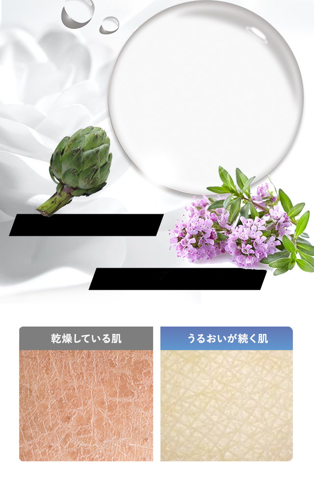 毛穴•キメ